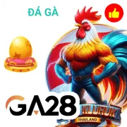 vnz66 Game 09